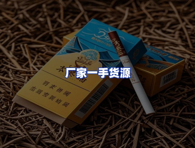 专业团队